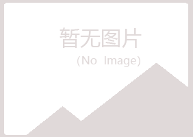 永靖县晓夏采矿有限公司